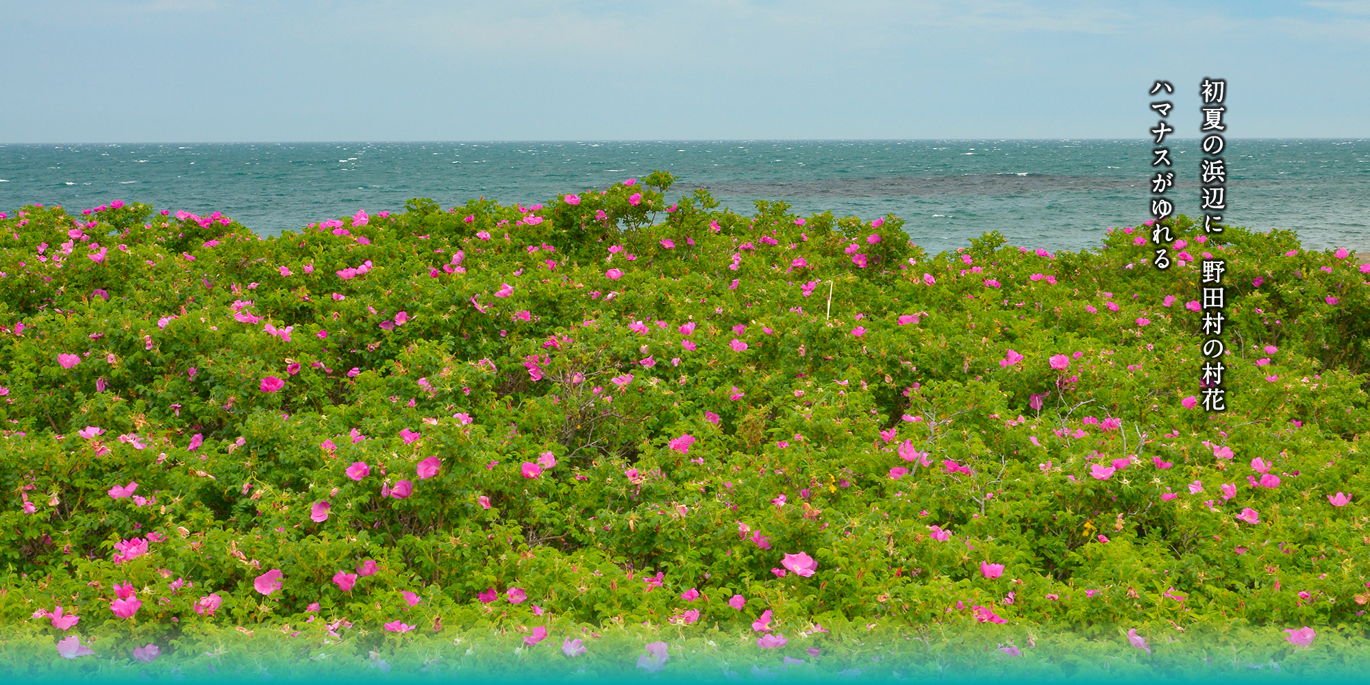 野田村 震災伝承アーカイブ