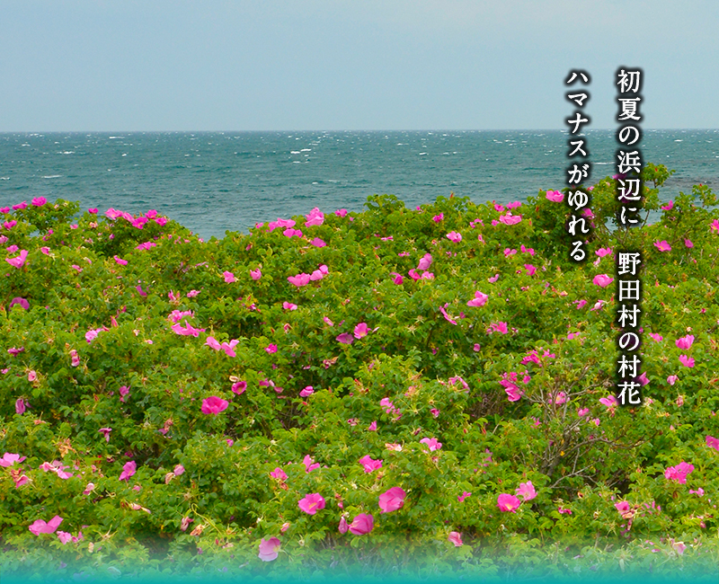 野田村 震災伝承アーカイブ